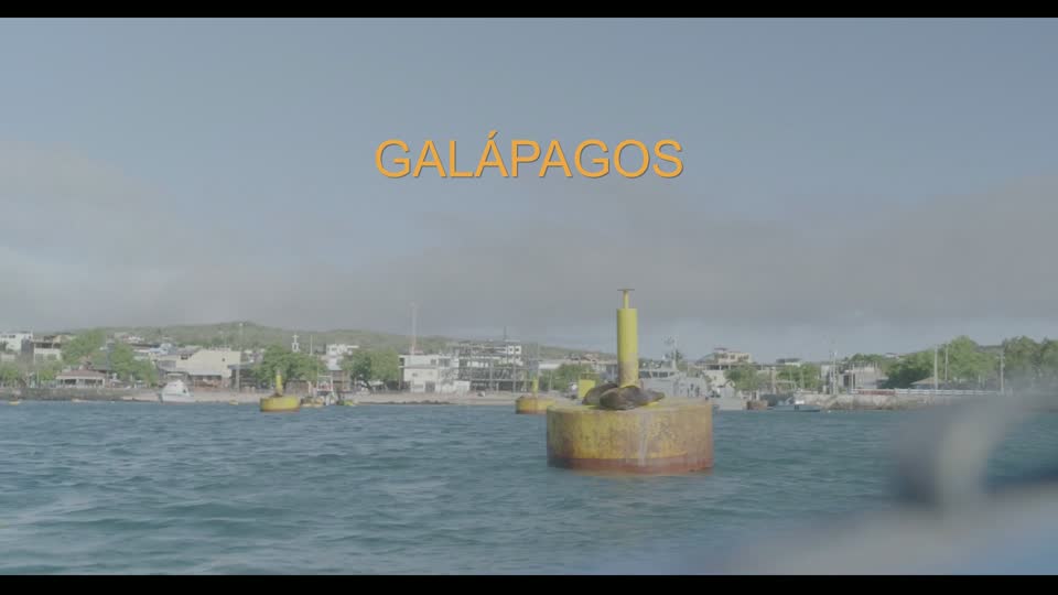 Galápagos title over harbour water and a buoy